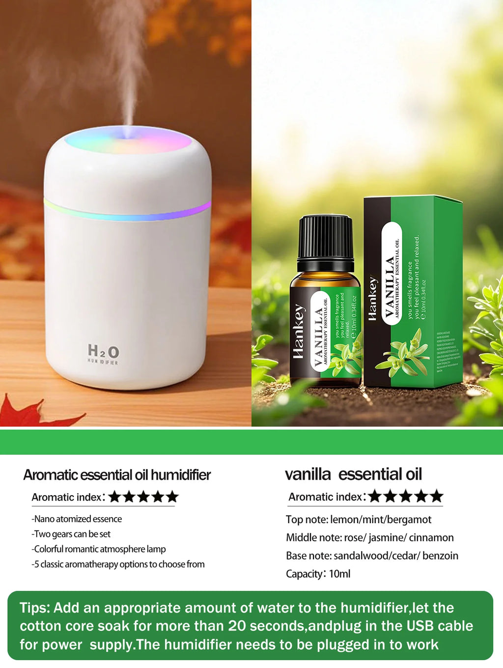 Aromatherapy Diffuser Humidifier Air Purifier Ca-Home