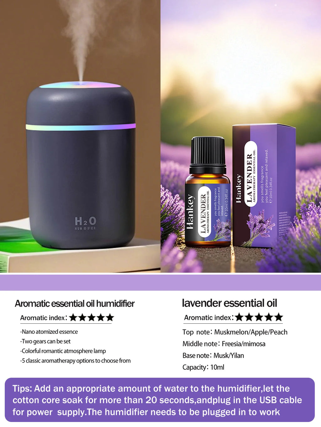 Aromatherapy Diffuser Humidifier Air Purifier Ca-Home