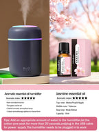 Aromatherapy Diffuser Humidifier Air Purifier Ca-Home