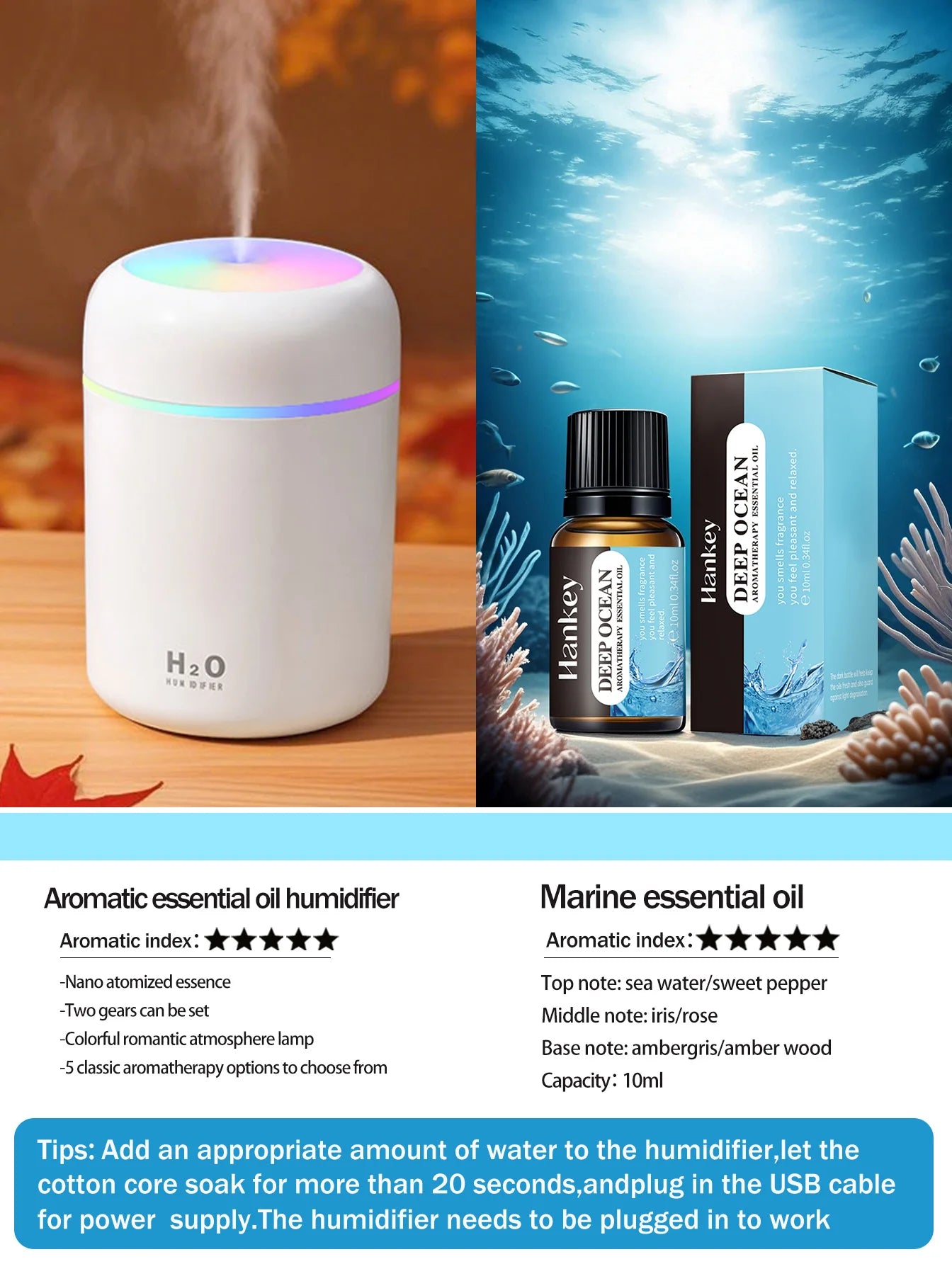 Aromatherapy Diffuser Humidifier Air Purifier Ca-Home