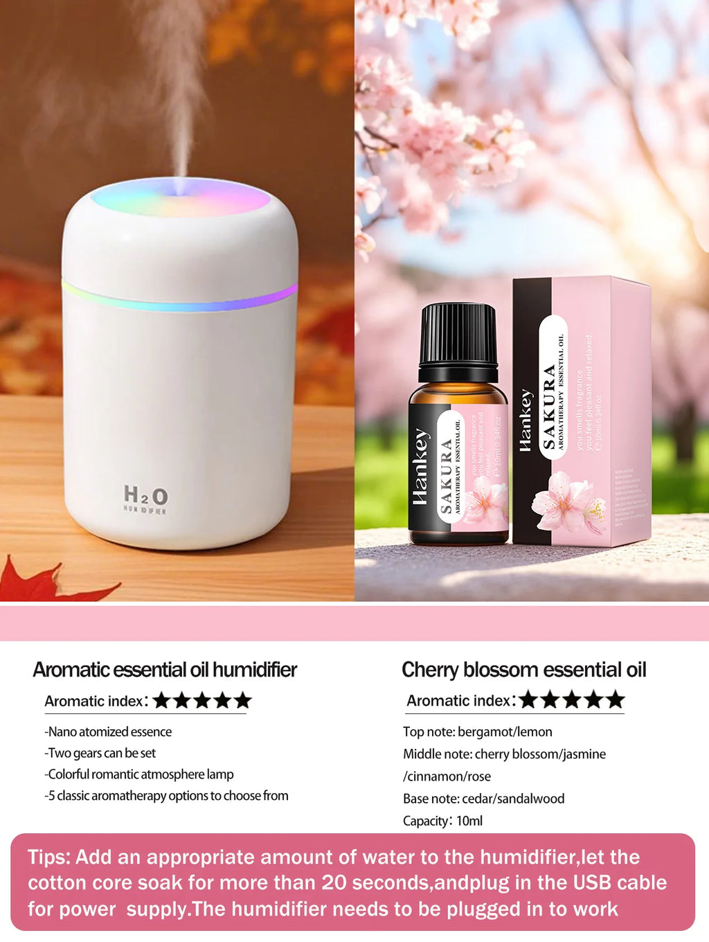 Aromatherapy Diffuser Humidifier Air Purifier Ca-Home