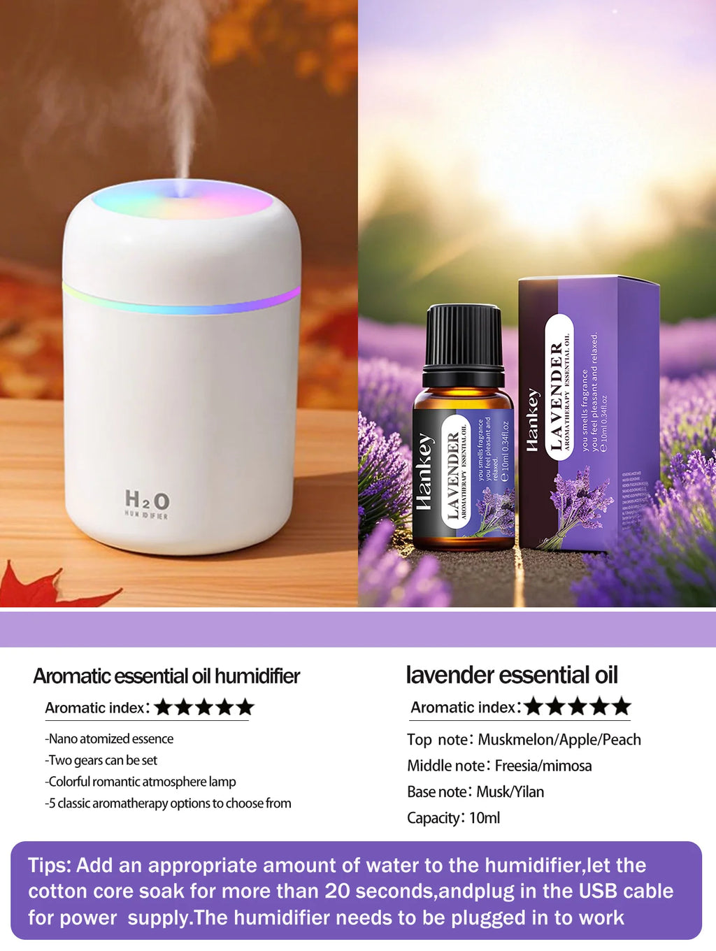 Aromatherapy Diffuser Humidifier Air Purifier Ca-Home