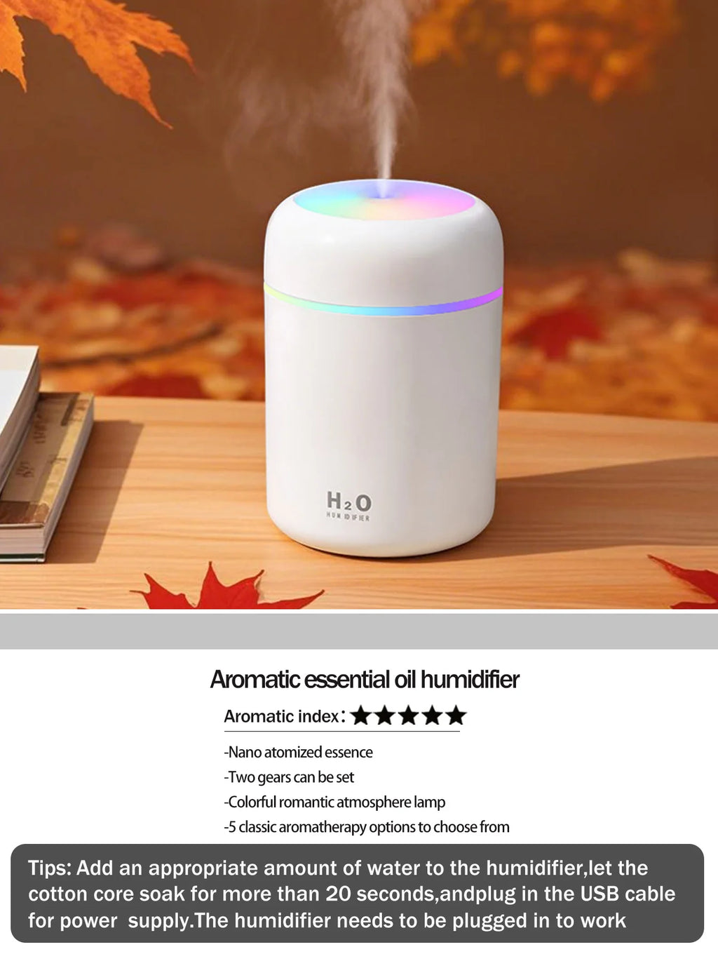 Aromatherapy Diffuser Humidifier Air Purifier Ca-Home