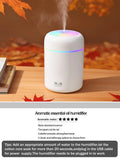 Aromatherapy Diffuser Humidifier Air Purifier Ca-Home