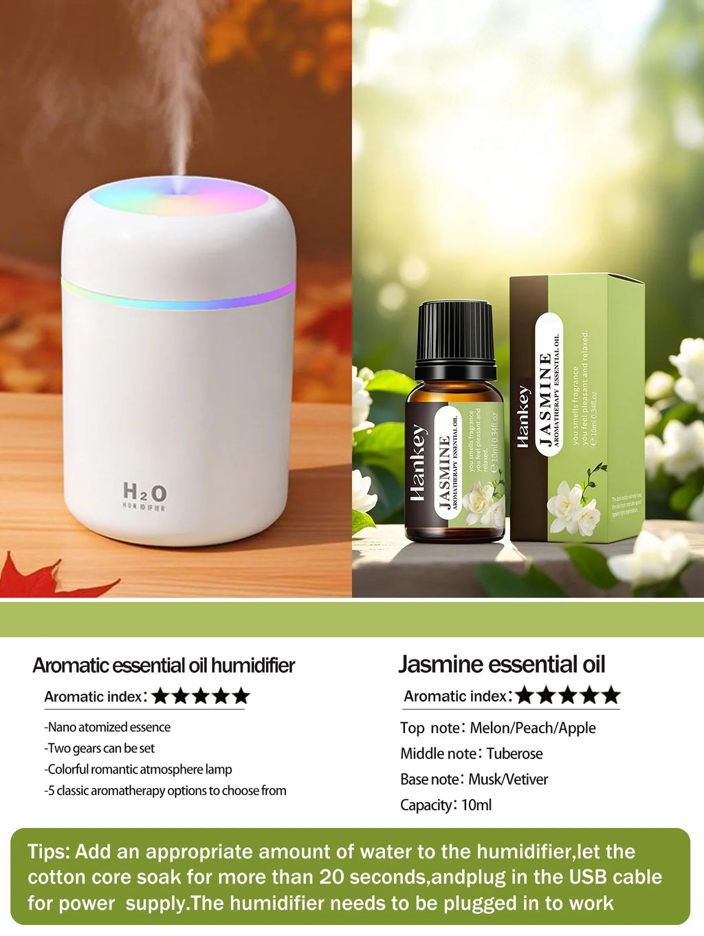 Aromatherapy Diffuser Humidifier Air Purifier Ca-Home