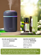 Aromatherapy Diffuser Humidifier Air Purifier Ca-Home
