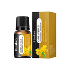 Aromatherapy Diffuser Humidifier Air Purifier Ca-Home